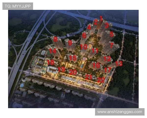 壹号城平台登录入口网页登录界面详细介绍与操作技巧