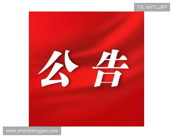 壹号入口官方公告：最新动态与维护通知确保玩家第一时间掌握信息